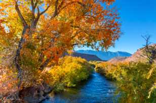 Owens River-2581.jpg Owens River-2581.jpg